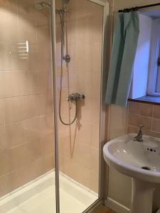 a bathroom with a shower and a sink at The Potting Shed, self contained, detached retreat in Shapwick village in Shapwick