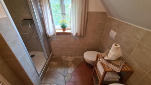 e bagno con servizi igienici, doccia e finestra. di Ferienhaus am Mühlteich a Rietschen Altre 18 foto