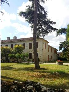 a house with a tree in front of it at Domaine de Laplan in Cézan
