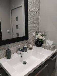 a bathroom with a white sink and a mirror at Le Clos des Marmottes in Cauterets