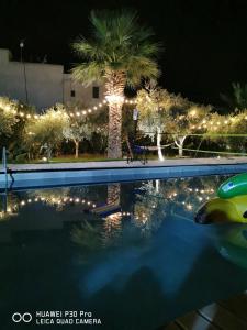 a swimming pool at night with a palm tree and lights at Trenasse in Marsala