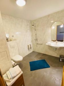 La salle de bains est pourvue de toilettes, d'un lavabo et d'un miroir. dans l'établissement Ferme de Montecouvez, à Crèvecoeur-sur-lʼEscaut