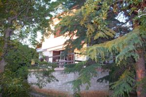 Vonkajšia záhrada v ubytovaní Holiday Home Luznar
