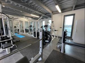 Das Fitnesscenter und/oder die Fitnesseinrichtungen in der Unterkunft Modernes Apartment mit wunderschonem Rheinblick