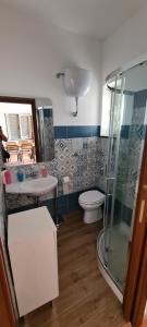 a bathroom with a shower and a toilet and a sink at Wild Cilento in Castellabate