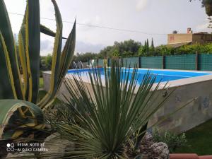 The swimming pool at or close to Casa Vacanze 4 Pileri
