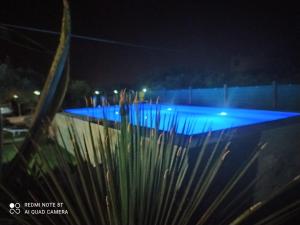 a plant in front of a swimming pool at night at Casa Vacanze 4 Pileri in Cartabubbo