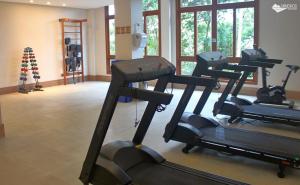 una palestra con diversi tapis roulant in una stanza di Loft Vista Azul - hospedagem as montanhas a Domingos Martins
