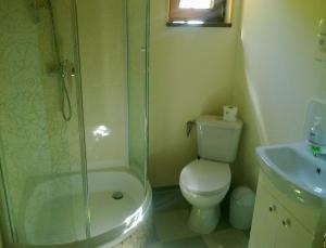 a bathroom with a shower and a toilet and a sink at Dom WIKTOR Kaszuby do 5 os. in Olpuch