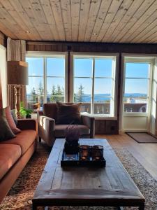 ein Wohnzimmer mit einem Sofa und einem Couchtisch in der Unterkunft New cabin at Lifjell perfectly located for hiking with sauna and ski-in/ski-out in Bø