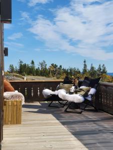 dos sillas en una terraza con un gato sobre ellas en New cabin at Lifjell perfectly located for hiking with sauna and ski-in/ski-out, en Bø