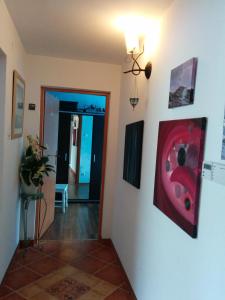 Zdjęcie z galerii obiektu Apartament w Bieszczadach w Wołkowyi