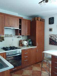 kuchnia z drewnianymi szafkami i kuchenką z piekarnikiem w obiekcie Apartament w Bieszczadach w Wołkowyi
