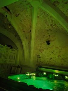 una vasca da bagno verde in una camera con soffitto di L'envoûtement Provençal, jacuzzi privatif et SPA a Orgon