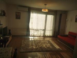 a living room with a large window and a rug at Studio Green in Târgu-Mureş