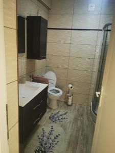 a small bathroom with a toilet and a sink at Studio Green in Târgu-Mureş