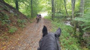 two people riding horses down a dirt road at Sonnenschein am Rursee in Simmerath