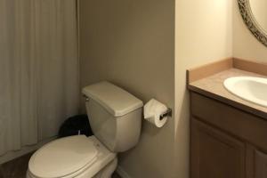 Łazienka z białą toaletą i umywalką w obiekcie Creek Condos w mieście Joseph