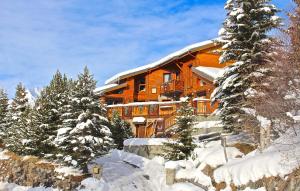 una grande baita di tronchi nella neve con alberi di Odalys Chalet Mountain lodge a Les Deux Alpes