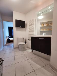 a bathroom with a toilet and a tv on the wall at CÔTÉ GARE - Gare - Centre-ville - Parking - Netflix - Wifi - Disney+ - Terrasse in Annecy
