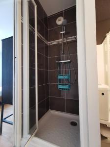 a shower with a glass door in a bathroom at CÔTÉ GARE - Gare - Centre-ville - Parking - Netflix - Wifi - Disney+ - Terrasse in Annecy