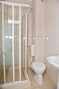 La salle de bains est pourvue d'une douche, de toilettes et d'un lavabo. dans l'établissement Hotel Terra, à Oradea