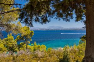 a view of the ocean from a hill with trees at Aria Apartments in Spetses
