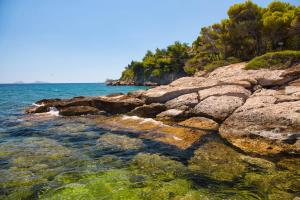 a group of rocks on the shore of the water at Aria Apartments in Spetses