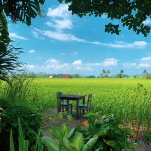 einen Tisch und Stühle vor einem Reisfeld in der Unterkunft Umasari Rice Terrace Villa by AGATA in Tabanan