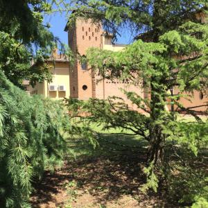 um edifício com uma árvore em frente em Agriturismo Flabeto em Budrio