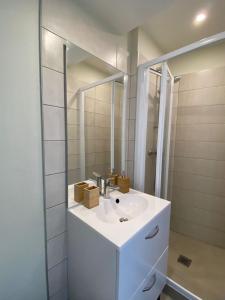 La salle de bains blanche est pourvue d'un lavabo et d'un miroir. dans l'établissement Cosy T1 ! Proche commerces et axes routiers, à Château-Renault