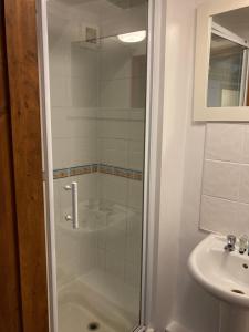 a bathroom with a shower and a sink at The Ship Inn in Solva