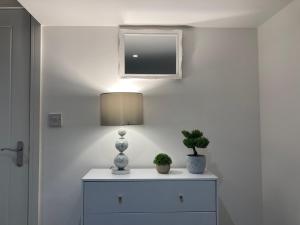 a lamp on a dresser with two plants on it at THE GARDEN - LONG STAY OFFER - Priv GARDEN in Strood