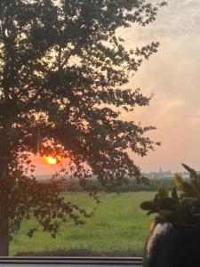 una puesta de sol vista a través de una ventana con un árbol en Vida Verde, en Valkenburg