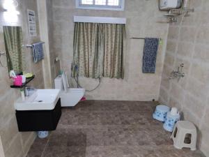 a bathroom with a sink and a toilet and a shower at THE NOOK Rooftop Condo and Garden in Guwahati