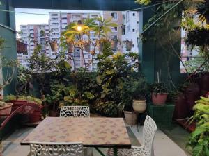 un patio con mesa, sillas y plantas en THE NOOK Rooftop Condo and Garden, en Guwahati