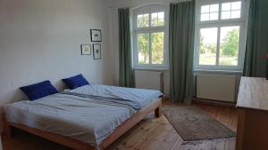 a bedroom with a bed with blue pillows and two windows at Fewo in Neustadt/Dosse, der Stadt der Pferde in Leddin