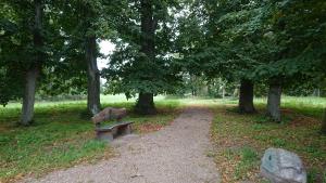 a park with a bench and a path with trees at Fewo in Neustadt/Dosse, der Stadt der Pferde in Leddin