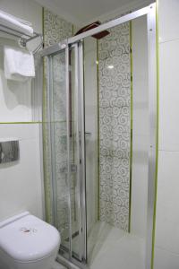 a bathroom with a shower and a toilet at Ens Hotel in Istanbul