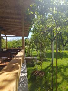a row of benches with trees in a park at The Orchard Estate in Sarajevo