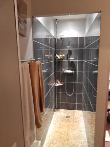 uma casa de banho com um chuveiro com azulejos pretos em Aux Glycines em Marcilly-Ogny