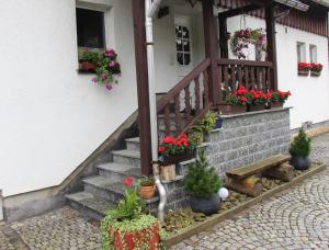 a house with flowers and plants on the stairs at Ferienwohnung Löffler Nassau-Erzgebirge in Frauenstein