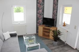 FrauensteinにあるFerienwohnung Löffler Nassau-Erzgebirgeのソファとテレビのあるリビングルーム
