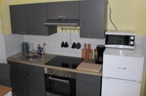 a kitchen with a sink and a stove and a microwave at Ferienwohnung Löffler Nassau-Erzgebirge in Frauenstein