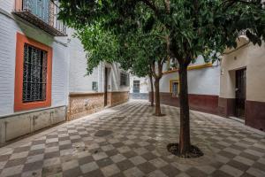 Fotografie z fotogalerie ubytování Historic apartment in Santa Cruz v destinaci Seville