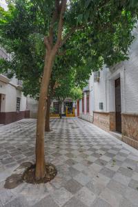 Fotografie z fotogalerie ubytování Historic apartment in Santa Cruz v destinaci Seville