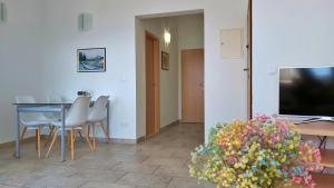 Μια τηλεόραση ή/και κέντρο ψυχαγωγίας στο Apartments Borak