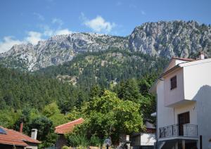 Γενική θέα στο βουνό ή θέα στο βουνό από  αυτό το διαμέρισμα