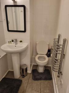利物浦的住宿－The Symphony Apartment，一间带水槽、卫生间和镜子的浴室