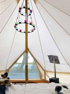 a white tent with a christmas tree in it at Glamping in the Trosa Archipelago in Trosa